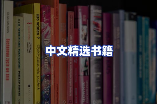 中文精选书籍